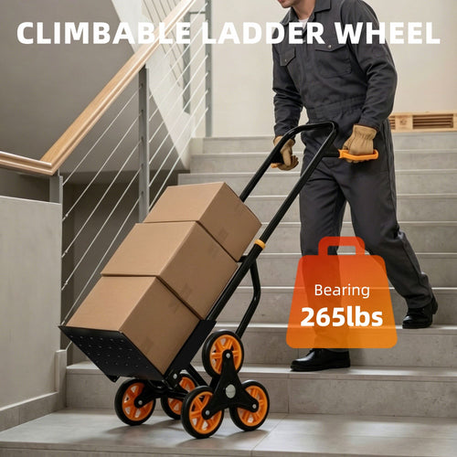 559792971